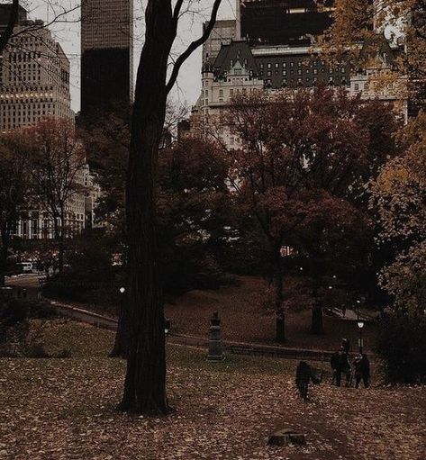 Dark Academy Aesthetic, Fell Asleep, Dark Academia Aesthetic, The Secret History, Academia Aesthetic, Best Seasons, Autumn Aesthetic, Aesthetic Photo, Dark Academia