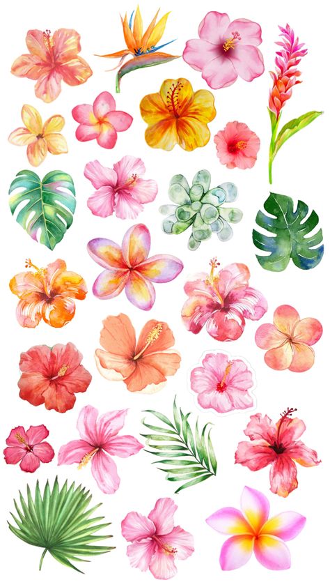 Tropical Flowers Illustration, Summer Prints Wallpaper, Cute Summer Wallpapers, Wallpaper Iphone Summer, Pottery Painting Designs, Iphone Wallpaper Photos, Summer Wallpaper, Cute Backgrounds, Flower Illustration