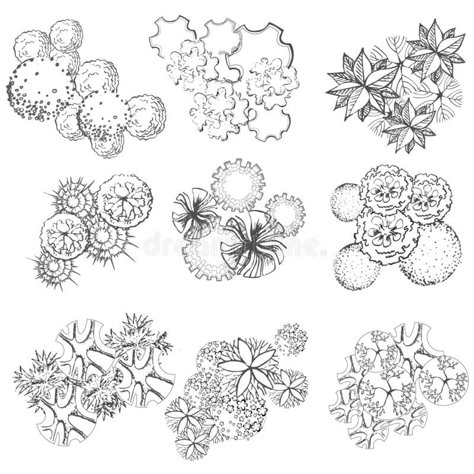 Flowers Top View, Free Landscape Design, Architecture Symbols, Landscape Architecture Plan, Landscape Design Drawings, Architecture Drawing Sketchbooks, Landscape Architecture Drawing, Architecture Drawing Plan, Interior Architecture Drawing