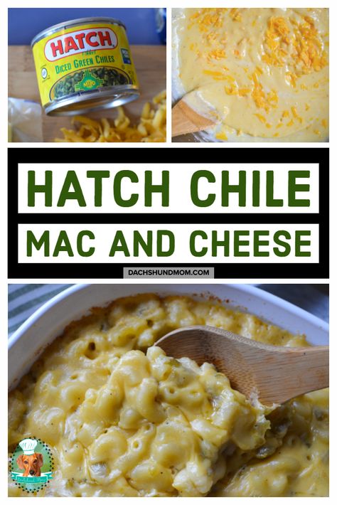 Baked Green Chili Mac And Cheese Recipe, Hatch Chile Mac And Cheese, Creamy Green Chili Mac And Cheese, Green Chili Mac N Cheese, Hatch Mac And Cheese, Hatch Green Chili Mac And Cheese, Hatch Chili Mac And Cheese, Poblano Mac And Cheese Recipe, Green Chili Mac And Cheese