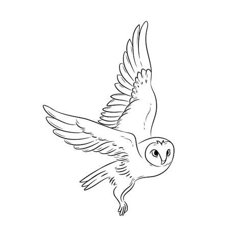 Simple Owl Outline, Owl Illustration Simple, Flying Owl Illustration, Owl Outline Tattoo, Owl Flying Drawing, Flying Owl Tattoo Design, Simple Owl Drawing, Owl Line Drawing, Flying Owl Tattoo