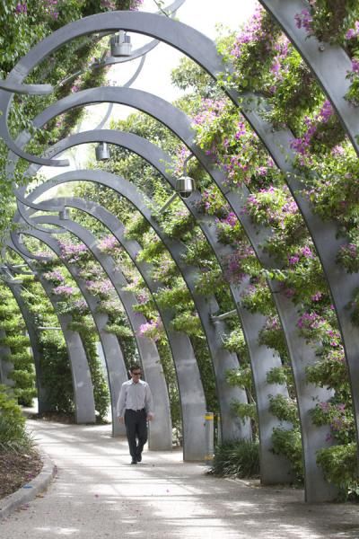 Landscape & Greening | Ronstan Tensile Architecture More news about worldwide cities on Cityoki! http://www.cityoki.com/en/ Plus de news sur les grandes villes mondiales sur Cityoki : http://www.cityoki.com/fr/                                                                                                                                                      More Trellis Architecture, Magenta Bougainvillea, Tensile Architecture, Vertical Garden Systems, Urban Landscape Design, Vertical Gardens, Landscape Architecture Design, Landscape Designs, Urban Park