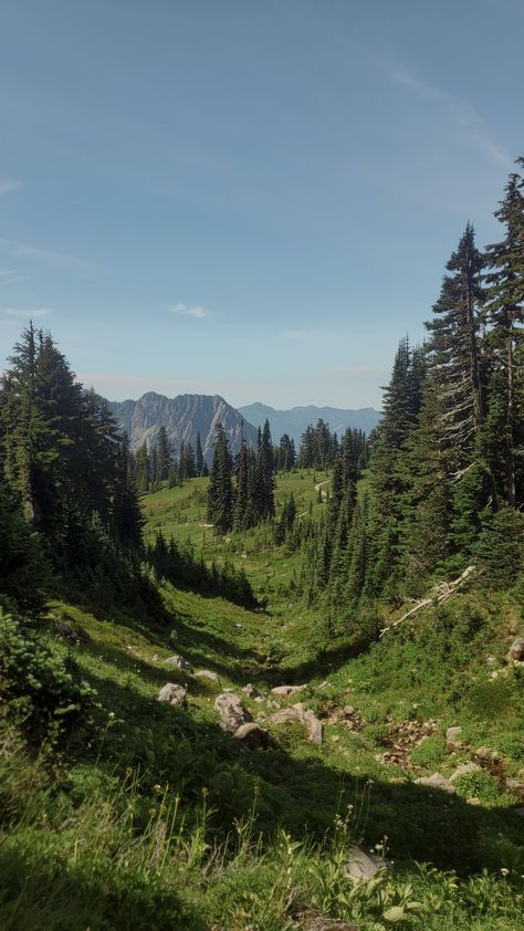 Pnw Summer Aesthetic, Pacific Northwest Wallpaper, Pnw Scenery, Pacific Northwest Aesthetic, Washington Aesthetic, Pnw Summer, Pnw Home, Pnw Hiking, Washington Hiking