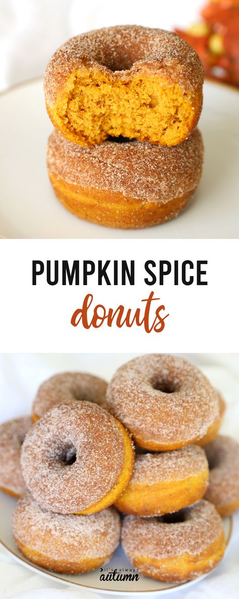 Easy Pumpkin Spice Donuts - baked, not fried! - It's Always Autumn Pumpkin Spice Donut Holes, Pumpkin Spice Donut, Pumpkin Spice Cake, Pumpkin Pancakes, Donut Holes, Baked Donuts, Spice Cake, Delicious Pumpkin, Köstliche Desserts