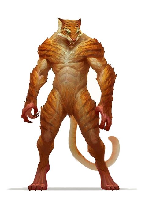 Lycanthrope Weretiger - Pathfinder PFRPG DND D&D 3.5 5E 5th ed d20 fantasy Dnd Weretiger, Dnd Leonin Character Art, Lycanthrope Dnd, Dnd Lycan, Dnd Lycanthrope, Rakshasa Dnd, Beastman Fantasy Art, Leonin D&d, Weretiger Art