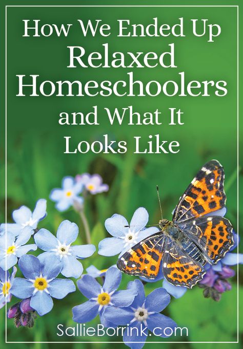 How We Ended Up Relaxed Homeschoolers and What It Looks Like - A Quiet Simple Life with Sallie Borrink Sonlight Homeschool, Relaxed Homeschooling, Middle School Counseling, World History Lessons, Homeschool Inspiration, Homeschool Encouragement, Answer The Question, Homeschool High School, Homeschool Schedule