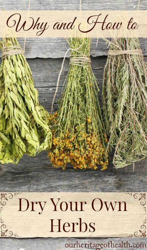 Why and how to dry your own herbs | ourheritageofhealth.com Garden Peonies, Aquaponics System, Peonies Garden, Growing Fruit, Healing Herbs, Growing Herbs, Medicinal Herbs, Medicinal Plants, Drying Herbs