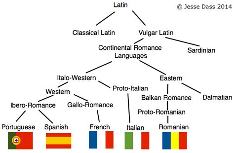 The Roman Empire conquered a large portion of Europe, they brought their language Latin, along with them. It was spoken throughout the empire but over the centuries, local, popular, nonstandard forms of Latin called 'Vulgar Latin' evolved into today's Romance languages.   Image by KayYen  There are 5 major Romance languages (Italian, French, Spanish, Portuguese and Romanian) and several minority Romance languages (such as Sardinian, Sicilian and Occitan). Romance languages are spl... Language Family Tree, Latin Grammar, Learn Brazilian Portuguese, Latin Language, Western Romance, Learn Portuguese, Learning Apps, World Languages, Lessons For Kids