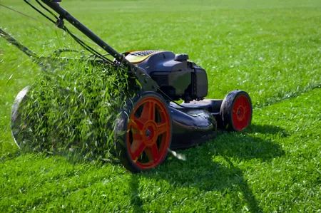 Spring Lawn Care, Fall Lawn, Best Lawn Mower, Lawn Fertilizer, Aerate Lawn, Types Of Grass, Lawn Care Tips, Lawn Service, Lush Lawn