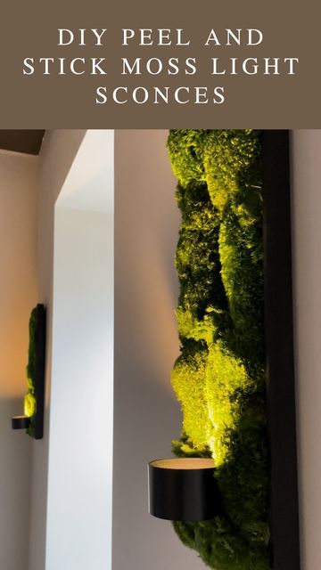 Moss Wall Art Bedroom, Moss Wall With Lights, Artificial Moss Decor, Vertical Moss Wall, Moss Wall Art Living Room, Moss Bedroom Wall, Moss Wall Dining Room, Moss Display Ideas, Moss Accent Wall