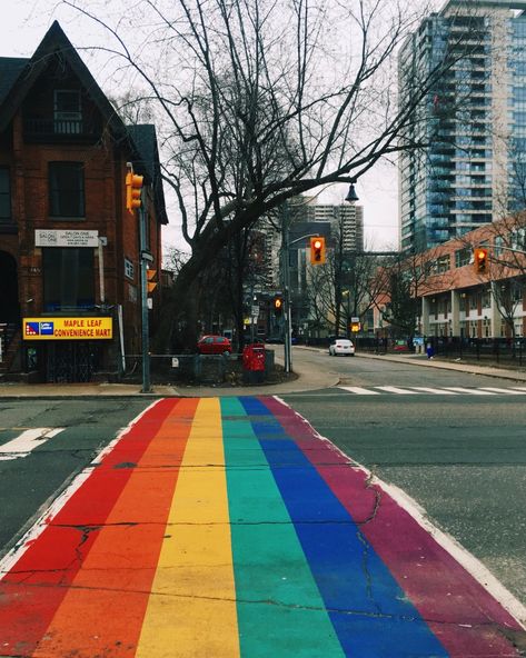 Rainbow crosswalk in Toronto, CAN - photo by @PuspusGirl Lgbtq Pictures, Queer Culture, Pride Quotes, Pride Art, Rainbow Wallpaper, Lgbt Pride, Real Photos, The Other Side, Cute Cats