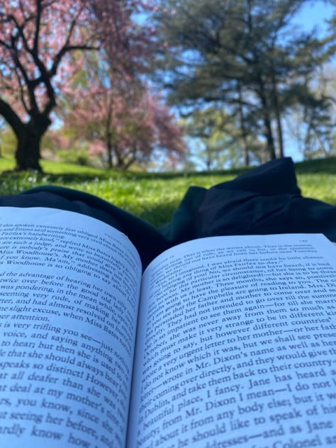 Reading At Park, Reading In A Park Aesthetic, People Reading Books Aesthetic, Romanticize Reading, Reading In The Park, Reading Park, Academia Study, Book Classics, East Coast Aesthetic