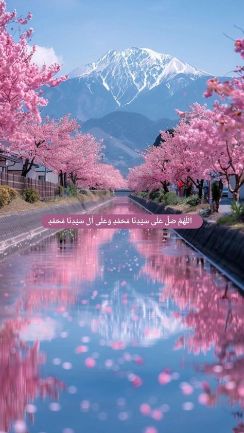 Spring Blossom Aesthetic, Cherry Blossom Japan Photography, Coolest Backgrounds, Cherry Blossoms Aesthetic, Blossoms Aesthetic, Aesthetic Instagram Stories Template, Primavera Aesthetic, Cherry Blossom Photography, Cherry Blossom Aesthetic