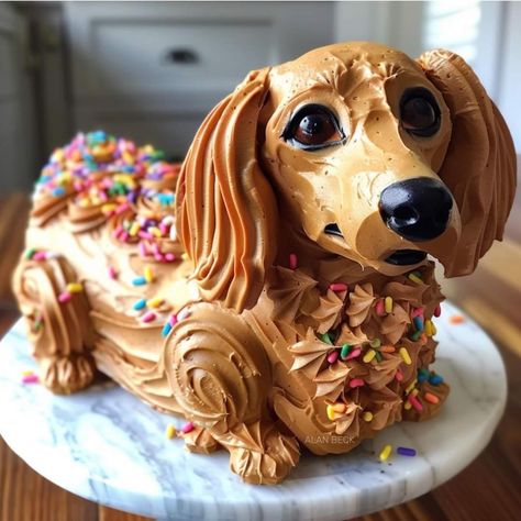 Weenie Dog Cake, Dachshund Party Ideas, Dachshund Cake Ideas, Dachshund Birthday Cake, Wiener Dog Cake, Cake Dog Design, Dog Cake Design, Birthday Cake With Sprinkles, Dachshund Cake