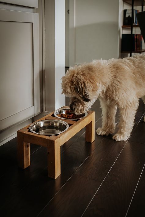 Easy DIY Dog Bowl Stand from Scrap Wood - decorhint