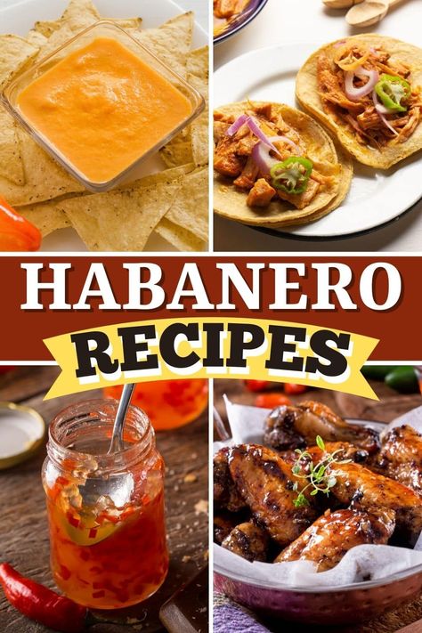 These habanero recipes are full of heat and flavor! From salsa to chili to chicken wings, spice up your life with these simple dishes. Recipes With Habaneros, Chicken Habanero Recipes, Fresh Habanero Recipes, Habanero Chicken Recipes, Habenero Recipes Chicken, Habenero Recipes Hot Sauces, Habanero Recipes Food, Recipes With Habanero Peppers, Habanero Pepper Recipes