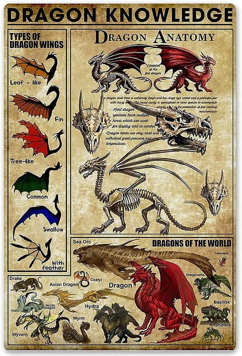 Mystical Creatures Mythology, Dragon Medieval, Dragon Anatomy, Types Of Dragons, Mythical Creatures Fantasy, Dragon Artwork Fantasy, Beast Creature, Fantasy Creatures Art, Dragon Artwork