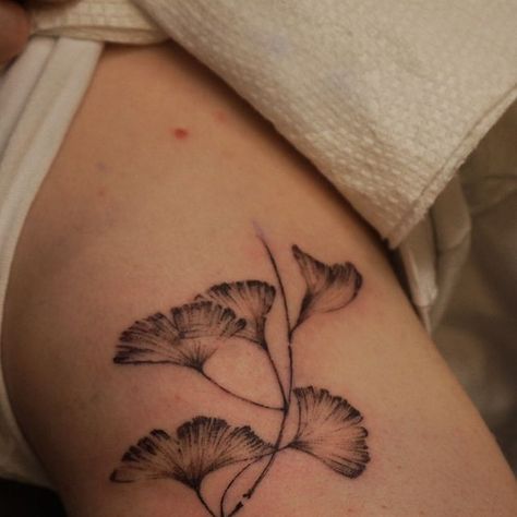 addy on Instagram: "Gingko!! More Gingko!! 👹👹  - - - - - - - - - - - - - - - - - - #art #tattoo #illustration #tattooartist #finelinetattoo #fineline #asiantattooartist #tattoodesign #finelinetattoo #tattoofinstagram #contemporarytattoo#femaletattooartist #brushwork #orientaltattoo" Gingko Leaves Tattoo, Gingko Art, Leaves Tattoo, Beach Instagram Pictures, Beach Instagram, Gingko Leaves, Asian Tattoos, Tattoo Illustration, Fine Line Tattoos