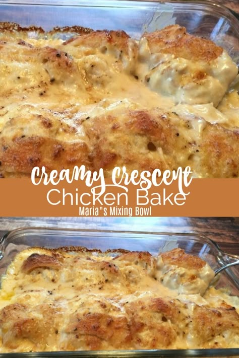 Recipes Using Crescent Rolls And Chicken, Chicken And Crescent Roll Recipes, Crescent Chicken, Crescent Roll Recipes Dinner, Crescent Bake, Recipe Using Chicken, Bake Easy, Dinner Family, Chicken Casseroles