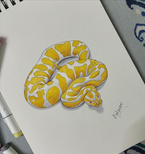 Ball Python 💛 #ballpython #art #artistsoninstagram #alcoholmarkers #coloured #yellow #snake #snakeart #markerart #drawing Python Drawing, Snake Painting, Snake Drawing, Yellow Snake, Ball Drawing, Python Snake, Cute Snake, Snake Art, Horror Movie Art