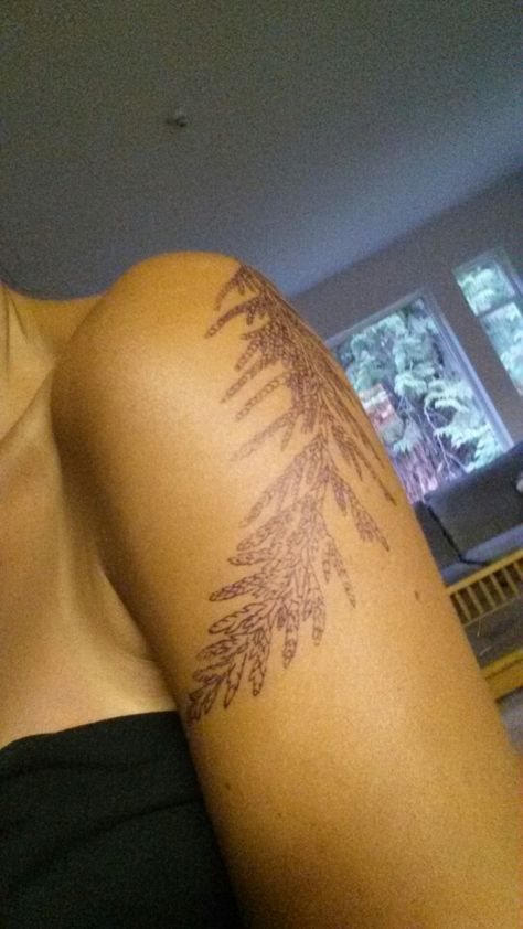 Cedar Sprig Tattoo, Cedar Branch Tattoo, Cedar Tattoo, Cedar Sprig, Tattoo Kids, Branch Tattoo, Bow Tattoo, Tattoos For Kids, Thigh Tattoo