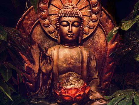 What Are the Main Schools of Buddhism? | Theravada Buddhism | Mahayana Buddhism | Mahayana Buddhism - Beliefnet Theravada Buddhism, Mahayana Buddhism, Siddhārtha Gautama, Buddhist Prayer, Beautiful Mind, What Type, Buddhism, Namaste, Buddha Statue