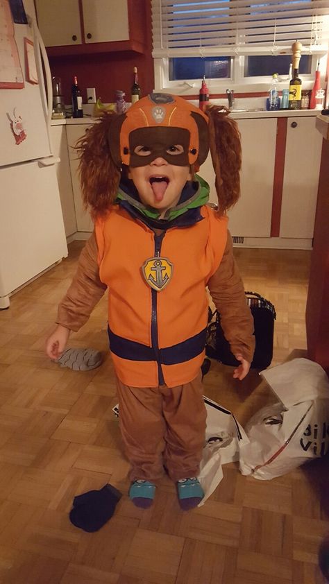 Paw Patrol Zuma Costume, Diy Zuma Paw Patrol Costume, Zuma Paw Patrol Costume, Paw Patrol Halloween Costume, Storybook Character Costumes, Paw Patrol Costume, Kid Costumes, Purim Costumes, Book Character Day