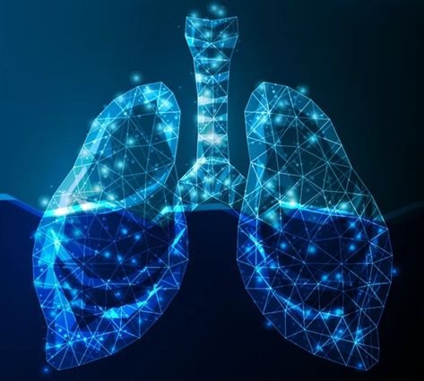 Respiratory System Aesthetic, Bio Art, Flyer Design Inspiration, Medical Art, Respiratory System, Lungs, Power Point, Respiratory, Sky Aesthetic