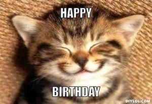 happy birthday cat meme cute #HappyBirthdayCatMemes #BirthdayCatMemes #FunnyBirthdayCatMemes #Memes #funnyMemes #Birthdaymemes #HBDCatMemes Cat Birthday Memes, Happy Birthday Funny Cats, Happy Birthday Cat, Gatto Carino, Funny Cat Photos, Söt Katt, Happy Birthday Funny, Birthday Meme, 웃긴 사진