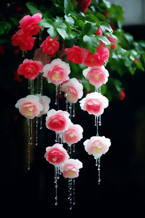 Weeping Begonia, Flower Puzzles, Strange Flowers, Most Beautiful Flower, Beautiful Flowers Photography, Mango Fruit, Flowery Wallpaper, Wonderful Flowers, Wallpaper Nature Flowers