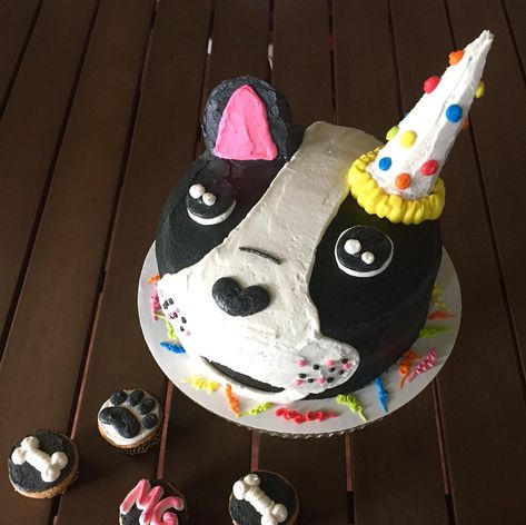 Boston Terrier Birthday Cake Boston Terrier Cake, Boston Terrier Tattoo, Dragon Cake, Dog Birthday Cake, Dog Cakes, Puppy Birthday, Homemade Dog, Dog Birthday, Culinary Arts