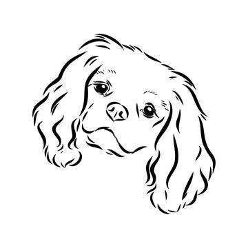 Cavalier Spaniel Tattoo, Cavalier Tattoo, Cavalier King Charles Spaniel Tattoo, Puppy Drawing Easy, Deadlift Platform, Fence Painting, Remembrance Tattoos, Cavalier Puppy, Cavalier King Charles Dog