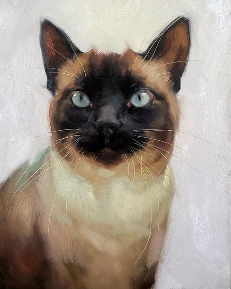 Siamese Cats Paintings, Siamese Cat Painting, Jennifer Gennari, Pet Portrait Paintings, Cat Portrait Painting, Animals Painting, Cat Paintings, Animal Artwork, Animal Portraits Art