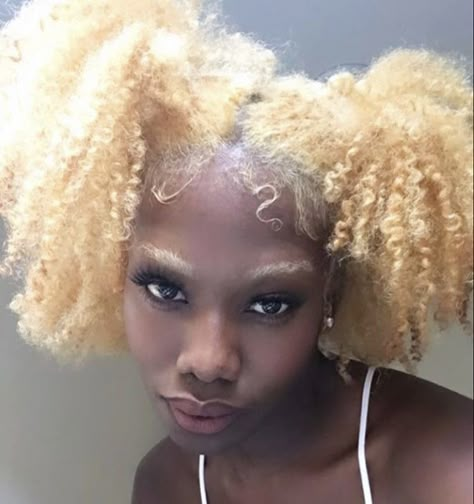 Bleached Afro Hair Black Women, Blonde 4c Natural Hair, Blonde 4c Hair, Bleached Eyebrows, Blonde Afro, Oc Reference, Dyed Curly Hair, Dyed Natural Hair, Hair Reference