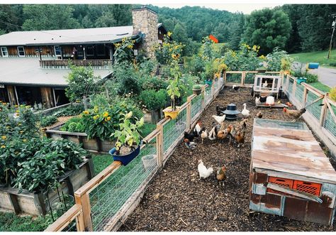 Cottagecore Farm, Homestead Layout, Food Forest Garden, Acre Homestead, Coming To America, Homestead Ideas, Farm Plans, Farm Layout, Permaculture Gardening