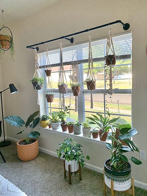 Related posts - Amazon.com Window Plant Display, Plant Window Display, Window Shelf For Plants, Window Plant Shelf, Plant Display Ideas, Surf Room, Plant Window, Window Plants, Flat Decor