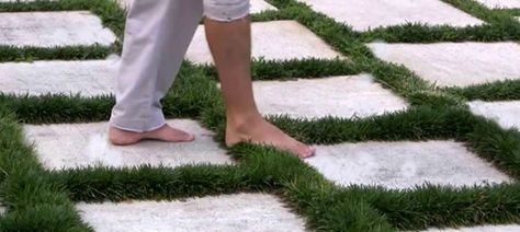 Home Landscaping Ideas, Red Creeping Thyme, Monkey Grass, Grass Pavers, Evergreen Groundcover, Garden Pavers, Small Yard Landscaping, Front Yard Garden Design, Garden Stepping Stones