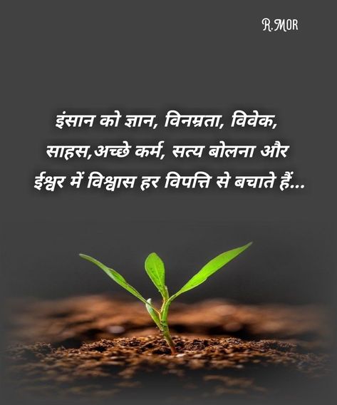 Leaf Plant Sapling Meaningful Status, Meaningful Quotes In Hindi, Heartfelt Quotes In Hindi, Inspirational Status, Motivational Quotes Hindi, Life Motivational Quotes, Thoughts In Hindi, Plants Quotes, Quotes On Life