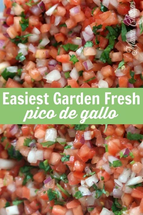 Skip the jar of salsa - it is SO easy to make flavor-packed homemade fresh salsa. This salsa (also commonly referred to as pico de gallo) is so flavorful. Made with fresh tomatoes, red onions, cilantro, garlic, salt and lime juice, this is such an easy recipe that feeds a crowd!  YUM! #salsa #recipe #mamacheaps Fresh Tomato Salsa Recipe, Fresh Salsa Recipe Homemade, Tomato Salsa Recipe Fresh, Chipotle Copycat, Tomato Salsa Recipe, Fresh Salsa Recipe, Salsa Guacamole, Fresh Tomato Recipes, Homemade Salsa Recipe