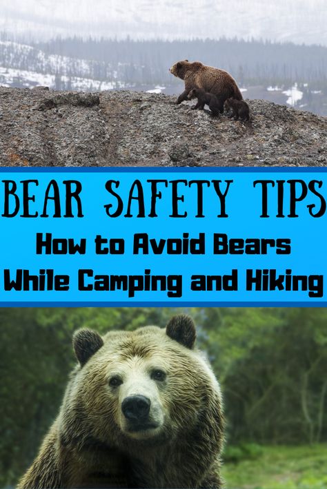 Spotting a bear is both a beautiful and terrifying experience at the same time. On one hand, bears are absolutely incredible creatures to see in the wild. On the other hand, they are powerful enough to tear a human apart. This guide outlines the bear safety tips that you need to know to avoid bears and enjoy a safe camping or hiking trip in bear country. #Bear #Camping #Hiking #Bears #Grizzly #BlackBear #BrownBear #Camp #Campground #Hiker #Backcountry #Wilderness #Hike #Grizzlybear #Bears What To Take Camping, Bear Safety, Mountain Camping, Camping Needs, Backcountry Camping, Hiking And Camping, Bear Spray, Hiking Essentials, Ultralight Backpacking