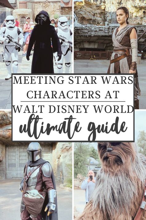 Rey, Kylo Ren, Chewbacca and The Mandolorian at Walt Disney World Disney World Tips, Character Dining, Disney World Characters, Disney World Planning, Walt Disney World Vacations, Disney Tips, Disney World Vacation, World Star, Star Wars Characters