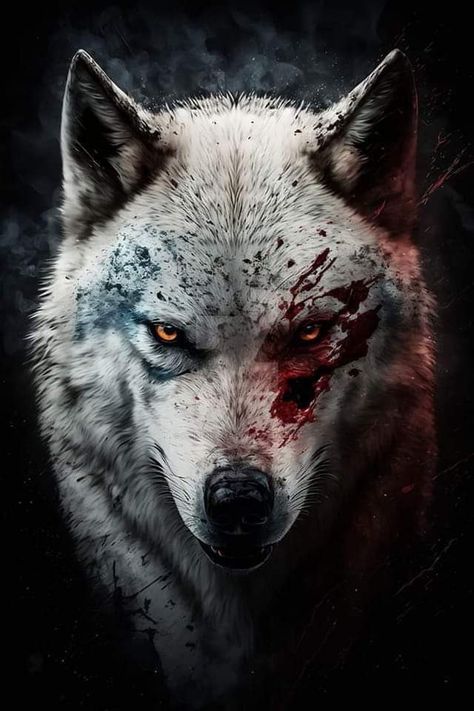 Scary Wolf, Lup Singuratic, Regard Animal, Angry Wolf, Summer Nails 2023, Wolf Warriors, 2023 Nail, Nails Nail Polish, Wolf Images