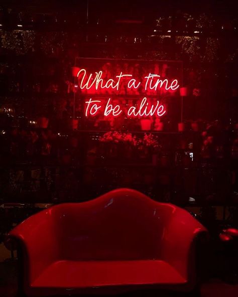 Neon Light Quotes, Salt Room Therapy, Red Interior Design, Gothic Things, Pub Logo, Bedroom Workspace, Karaoke Bar, Female Filmmaker, Red Quotes