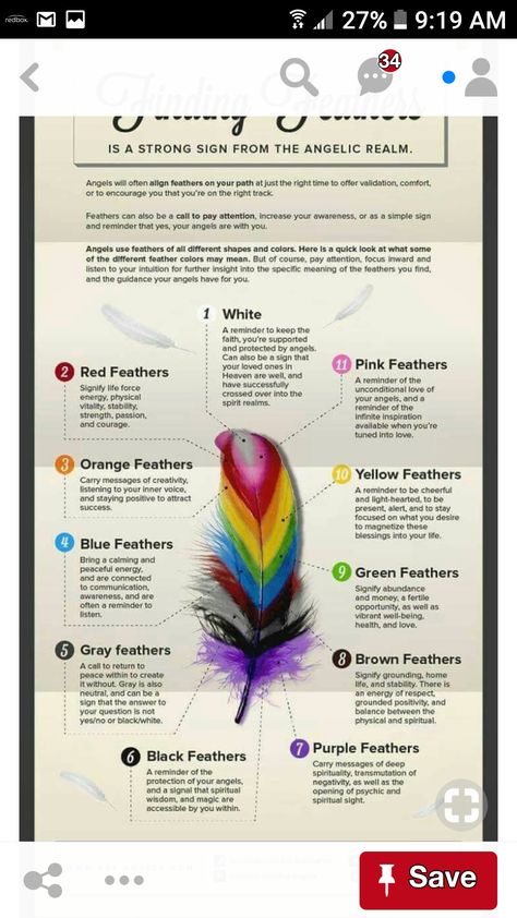 Meaning of feathers Feather Color Meaning, Mystical Items, Feather Magic, Finding Feathers, Feather Meaning, Simple Signs, Wiccan Spell Book, Witchcraft Spell Books, Witch Spell Book