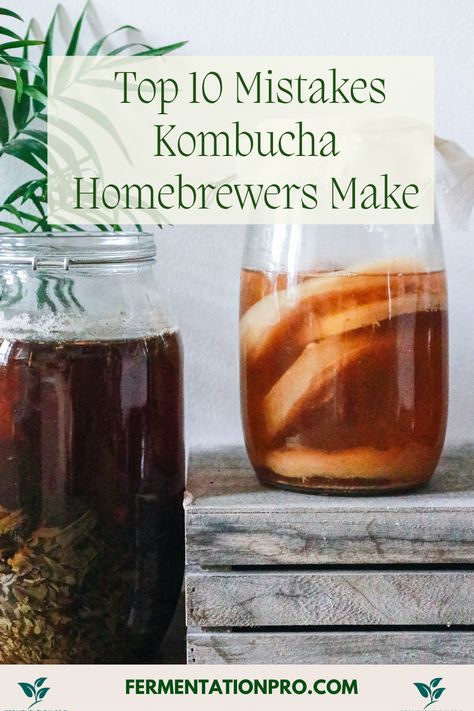 How To Start A Scoby For Kombucha, Kombucha 2nd Fermentation, Kombucha For Beginners, How To Make Kombucha Scoby, Best Kombucha Flavors, Root Beer Kombucha, Diy Kombucha How To Make, Small Batch Kombucha, Mango Kombucha Recipe