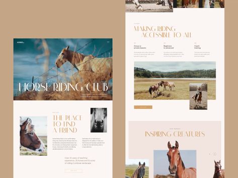 Horse Club Website Horse Event, Ux Design Mobile, Dribbble Design, Horse Club, Web Ideas, Luxury Website, News Web Design, Banner Design Inspiration, Visual Hierarchy