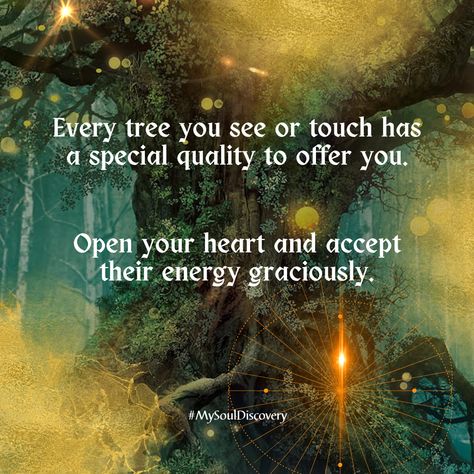 Hug A Tree Quote, Tree Hugging Benefits, Empath Energy, Tree Energy, Manifestation Prayer, Tree Hugging, Tree Quotes, Earth Drawings, Nature Witch