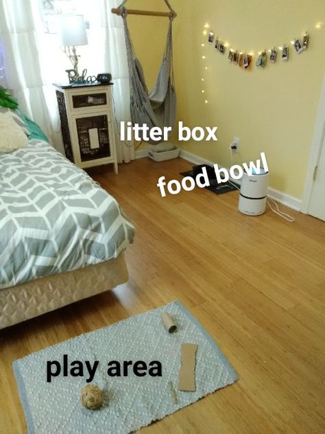 Free Roam Bunny Set Up Bedroom, Bunny Free Roam, Bunny Organization, Free Roam Bunny Set Up, Free Roam Bunny, Bunny Setup, Aesthetic Bunny, Pet Craft, Mother Son Relationship