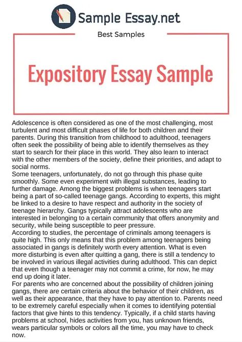 Essay About Yourself, Essay Writing Prompts, Expository Essay Examples, Sweet Potato Ground Beef, Potato Ground Beef, 500 Word Essay, Essay Samples, Opinion Essay, Personal Essay