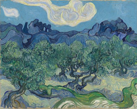 Van Gogh Olive Trees, Olive Tree Painting, فنسنت فان جوخ, Van Gogh Landscapes, Vincent Willem Van Gogh, Van Gogh Irises, Vincent Van Gogh Paintings, Arte Van Gogh, Van Gogh Paintings